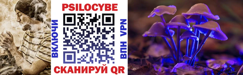 Псилоцибиновые грибы Psilocybine cubensis  блэк спрут ссылки  Ясногорск  закладки 